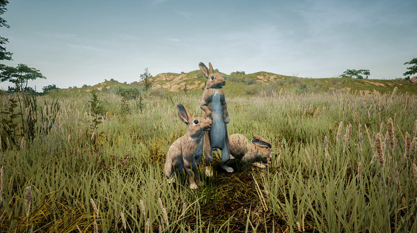 Игра Animalia Survival EggHunt, скриншот