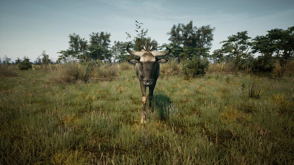 Игра Animalia Survival EggHunt, скриншот