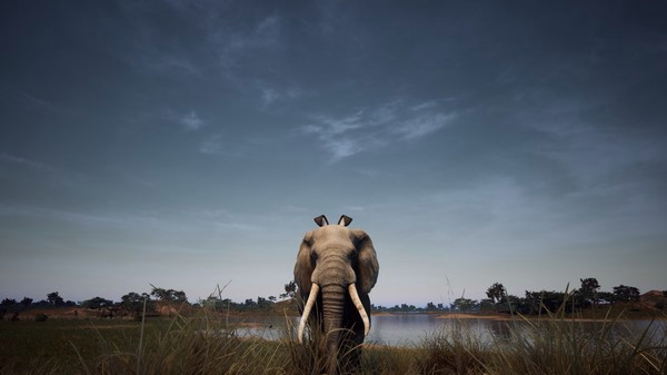 Игра Animalia Survival EggHunt, скриншот