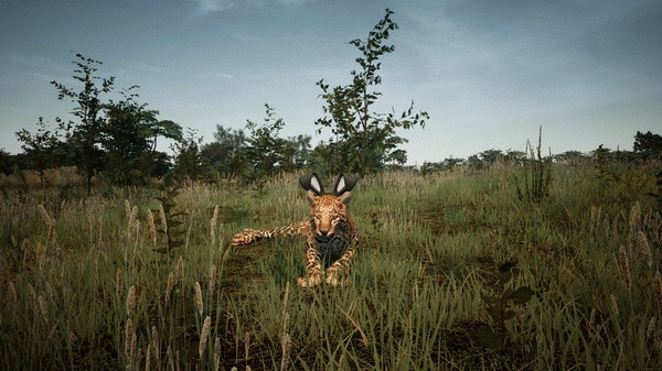 Игра Animalia Survival EggHunt, скриншот
