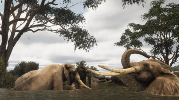 Игра Animalia Survival, скриншот