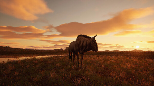 Игра Animalia Survival, скриншот