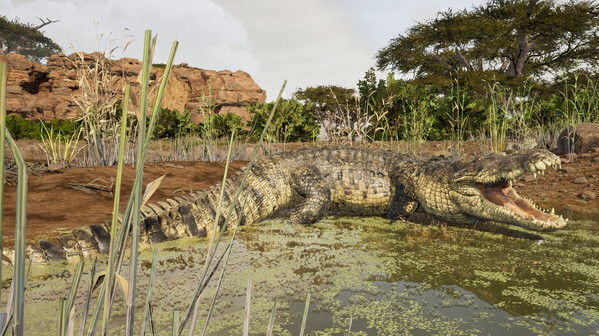 Игра Animalia Survival, скриншот