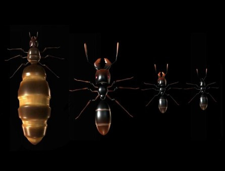 Игра Ant Queen, скриншот