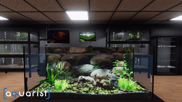 Игра Aquarist - стройте аквариумы, выращивайте рыб, развивайте свой бизнес!, скриншот