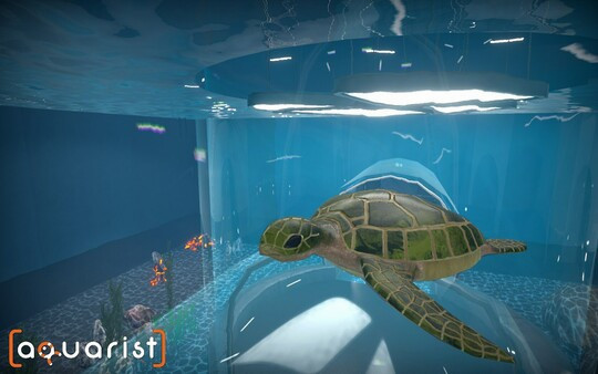 Игра Aquarist - стройте аквариумы, выращивайте рыб, развивайте свой бизнес!, скриншот