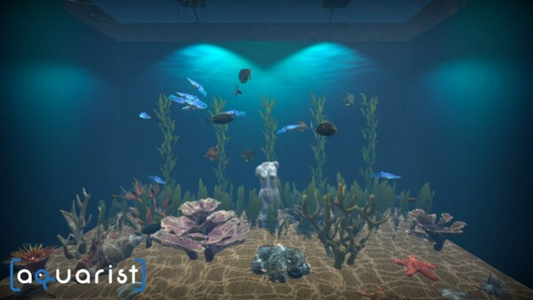 Игра Aquarist - стройте аквариумы, выращивайте рыб, развивайте свой бизнес!, скриншот