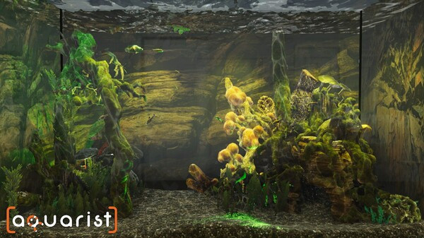 Игра Aquarist - стройте аквариумы, выращивайте рыб, развивайте свой бизнес!, скриншот