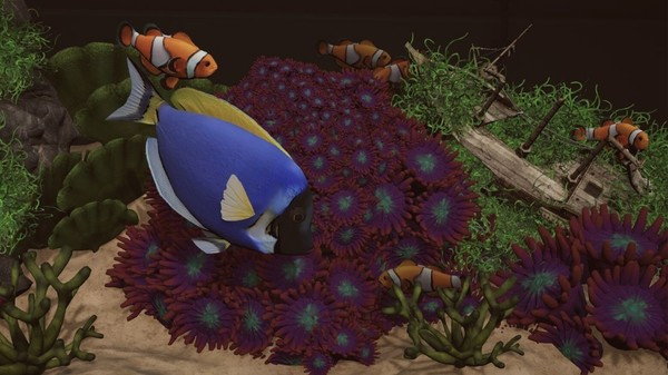 Игра Aquarium Designer – Sea Life, скриншот