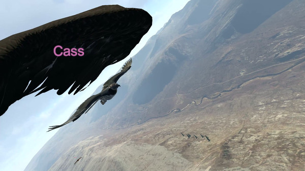 Игра Aquila Bird Flight Simulator, скриншот