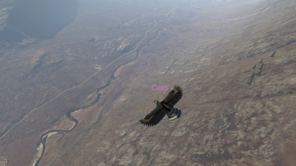 Игра Aquila Bird Flight Simulator, скриншот