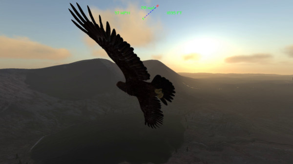 Игра Aquila Bird Flight Simulator, скриншот