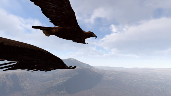 Игра Aquila Bird Flight Simulator, скриншот