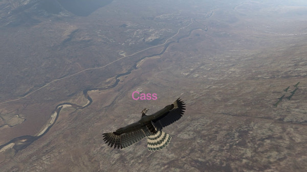 Игра Aquila Bird Flight Simulator, скриншот