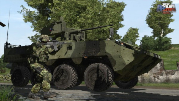 Игра Arma 2: Army of the Czech Republic, скриншот