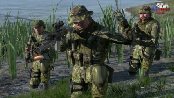 Игра Arma 2: Army of the Czech Republic, скриншот