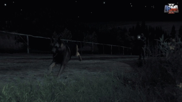Игра Arma 2: Army of the Czech Republic, скриншот