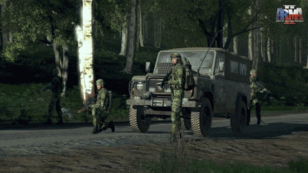 Игра Arma 2: Army of the Czech Republic, скриншот