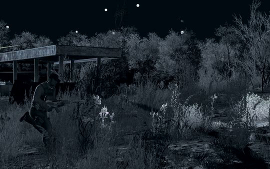 Игра Arma 2: Private Military Company, скриншот