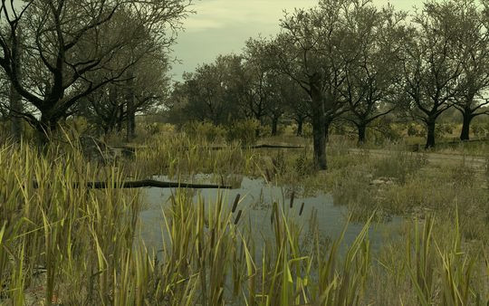 Игра Arma 2: Private Military Company, скриншот