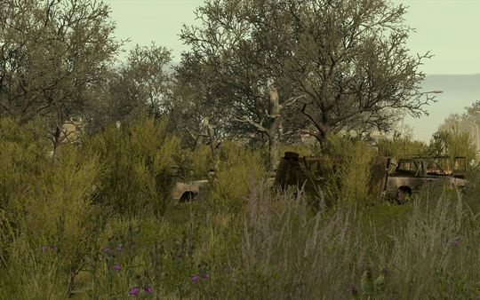 Игра Arma 2: Private Military Company, скриншот