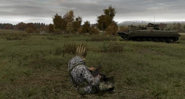 Игра Arma 2, скриншот