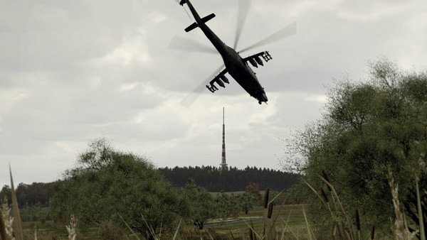 Игра Arma 2, скриншот