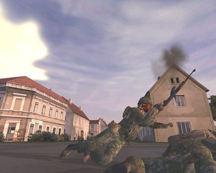 Игра ARMA: Cold War Assault, скриншот