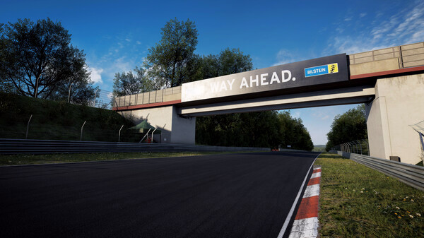 Игра Assetto Corsa Competizione - 24H Nürburgring Pack, скриншот