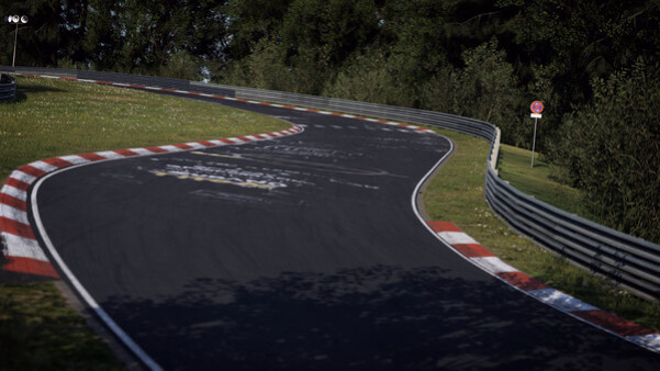 Игра Assetto Corsa Competizione - 24H Nürburgring Pack, скриншот