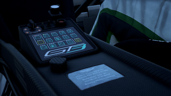 Игра Assetto Corsa Competizione, скриншот