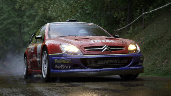 Игра Assetto Corsa Rally, скриншот
