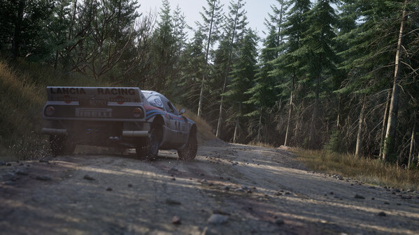 Игра Assetto Corsa Rally, скриншот