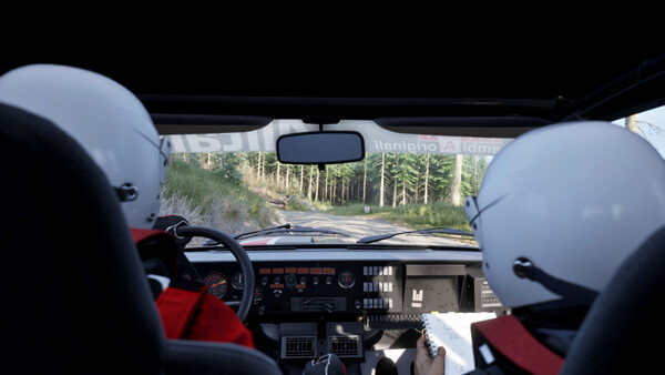 Игра Assetto Corsa Rally, скриншот