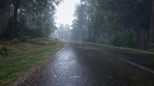 Игра Assetto Corsa Rally, скриншот