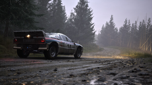 Игра Assetto Corsa Rally, скриншот