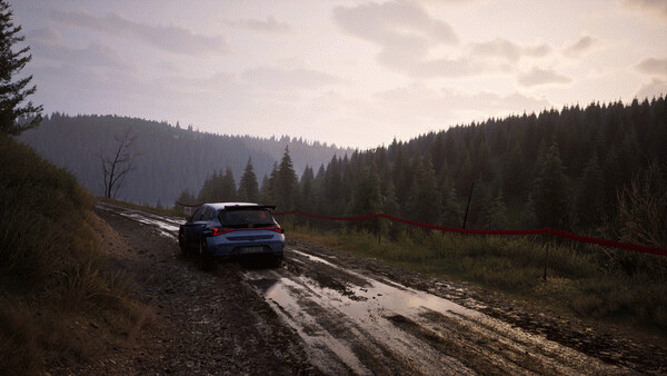 Игра Assetto Corsa Rally, скриншот