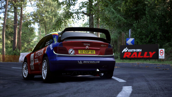 Игра Assetto Corsa Rally, скриншот
