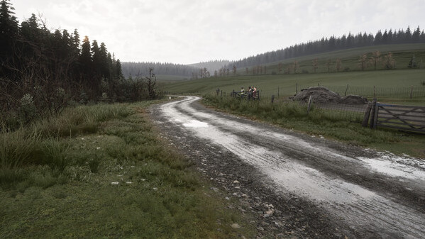 Игра Assetto Corsa Rally, скриншот