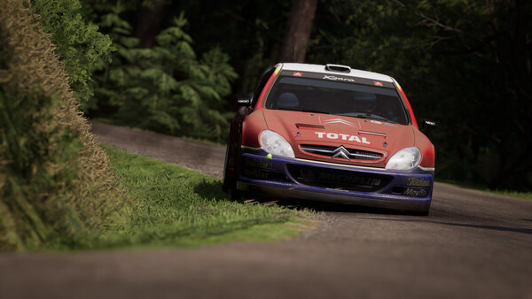 Игра Assetto Corsa Rally, скриншот