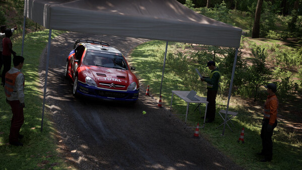 Игра Assetto Corsa Rally, скриншот