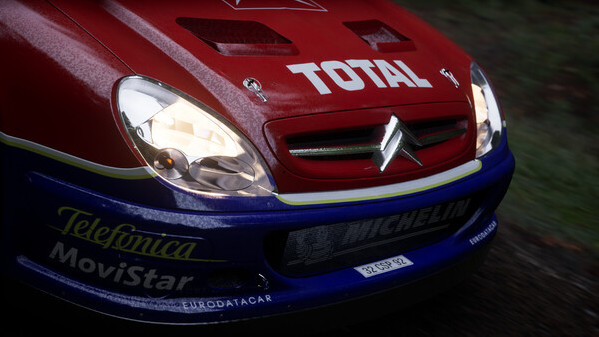 Игра Assetto Corsa Rally, скриншот