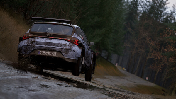 Игра Assetto Corsa Rally, скриншот