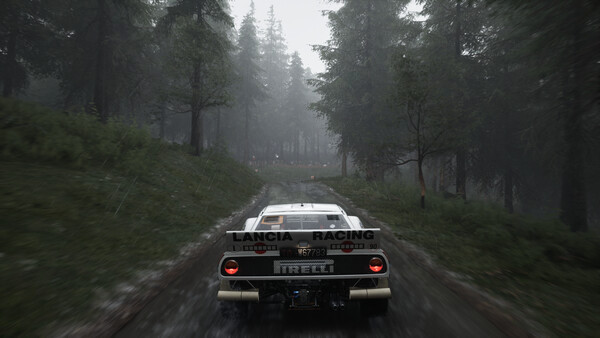 Игра Assetto Corsa Rally, скриншот