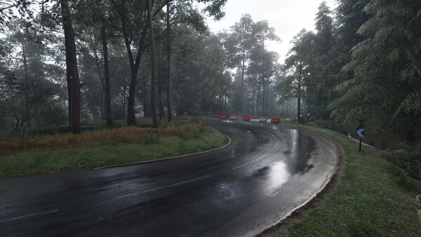 Игра Assetto Corsa Rally, скриншот