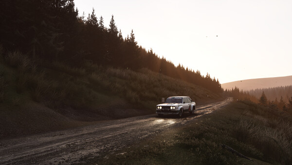 Игра Assetto Corsa Rally, скриншот