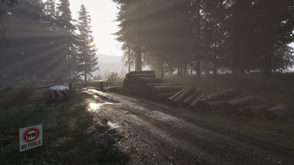 Игра Assetto Corsa Rally, скриншот