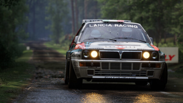 Игра Assetto Corsa Rally, скриншот