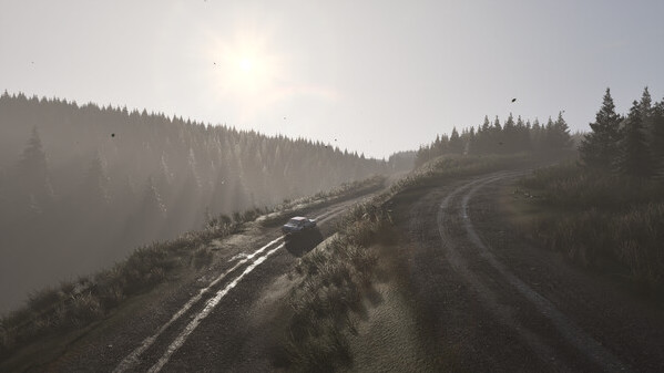 Игра Assetto Corsa Rally, скриншот