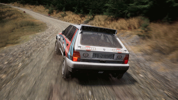 Игра Assetto Corsa Rally, скриншот
